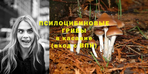 PSILOCYBIN Ростов