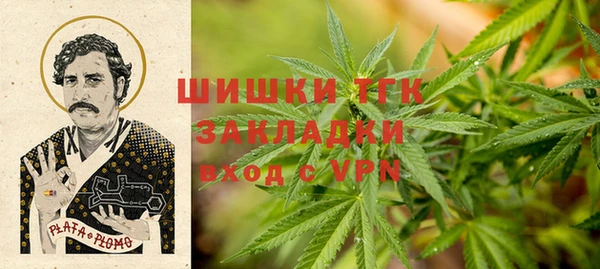 PSILOCYBIN Ростов
