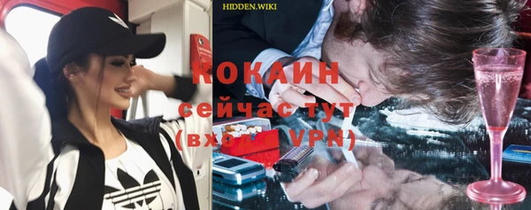 винт Рославль